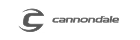 cannondale logo