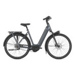 Gazelle Arroyo C5 Elite