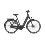 Gazelle Arroyo C8+ Elite